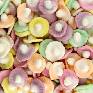 Frutos de hongos